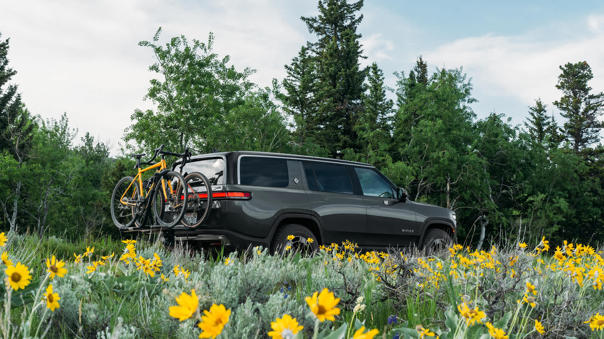 Green Rivian in a fields of flowers