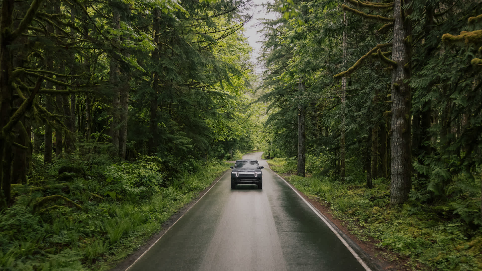 Rivian driving through forest