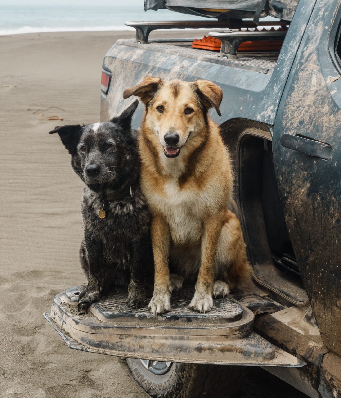 Rivian Insurance bundled policies experience