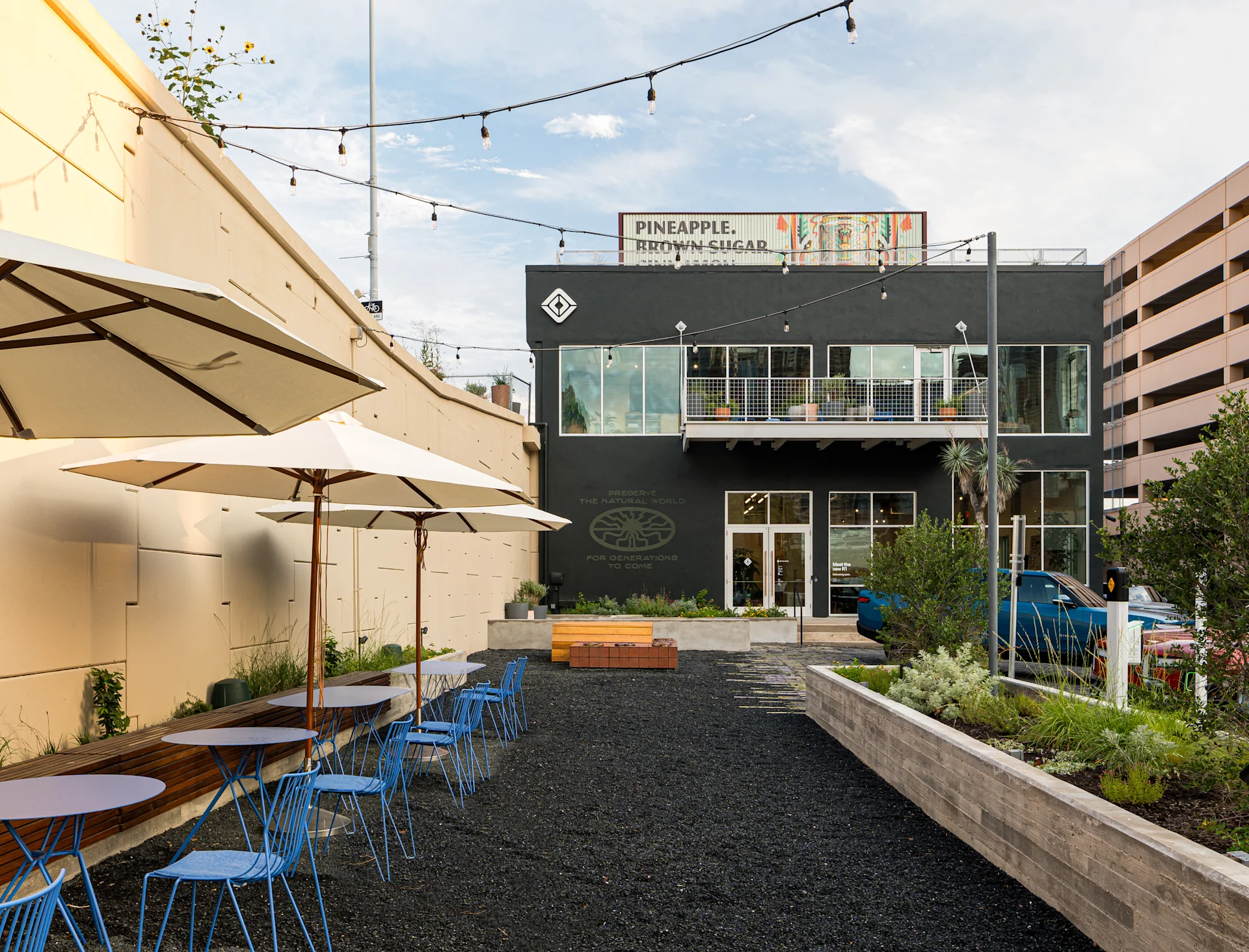 Une aventure électrique vous attend dans notre petit oasis sur South Congress.