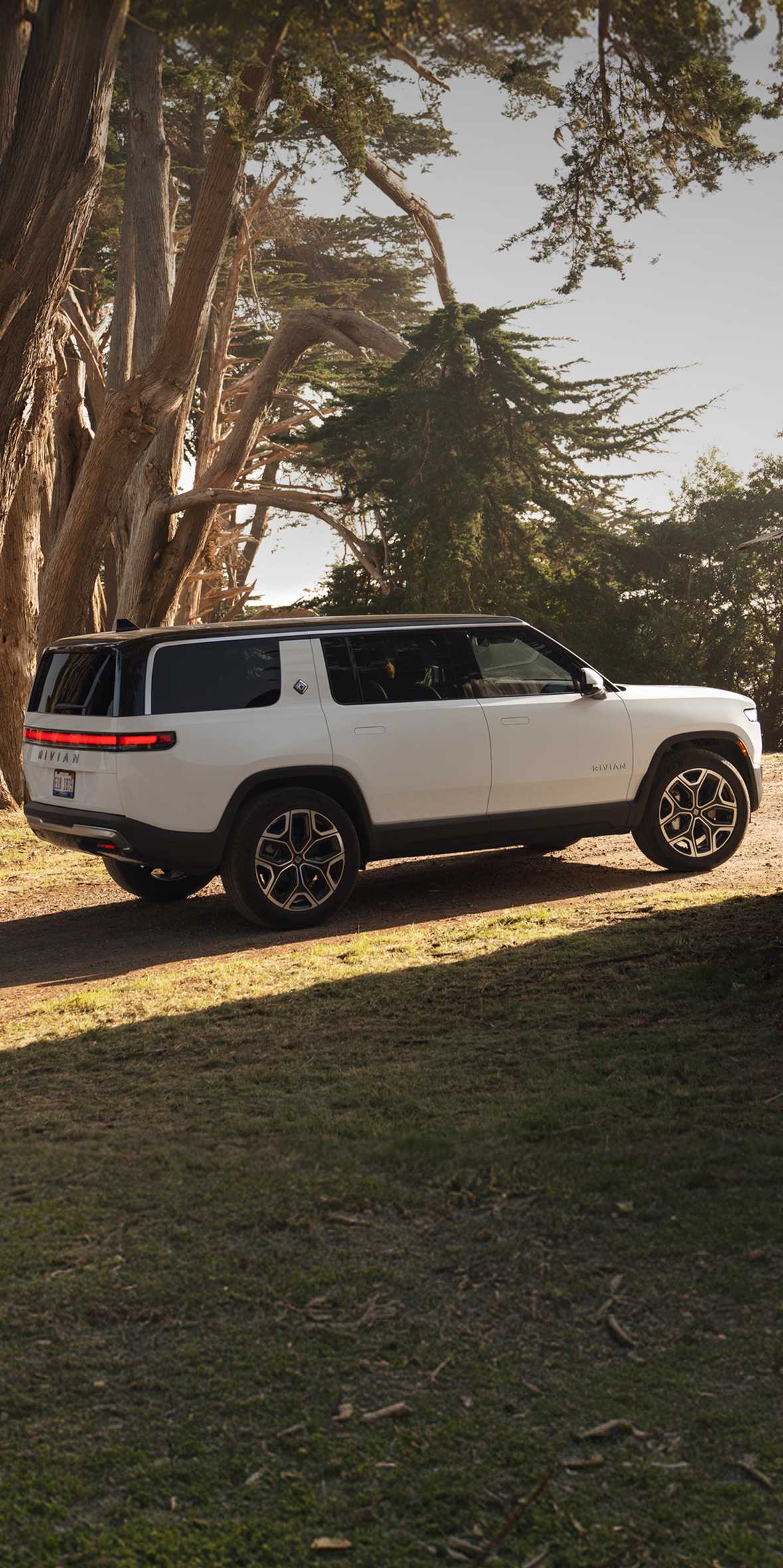 A sleek white Rivian R1S electric SUV parked on a sunlit dirt path between towering cypress trees and a rustic shed, shown from a rear three-quarter angle.