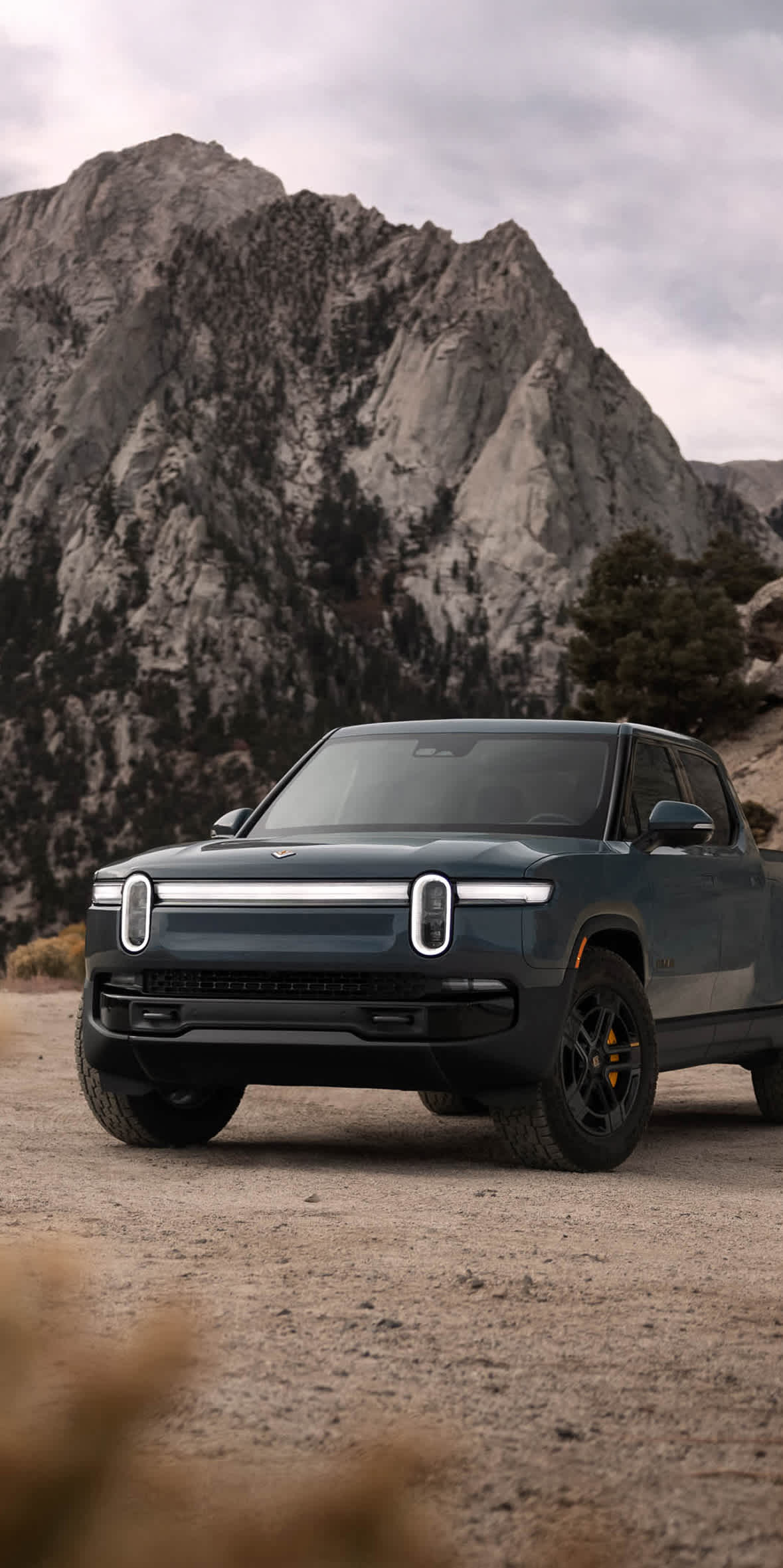 A side-front view of a Green Rivian R1S electric SUV traveling down a paved road, illuminated by bright sunlight filtering through the surrounding forest.