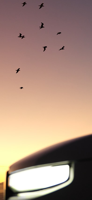 A close-up of a headlight on a white Rivian R2. The glowing headlight is shown with a warm, golden sunset in the background.