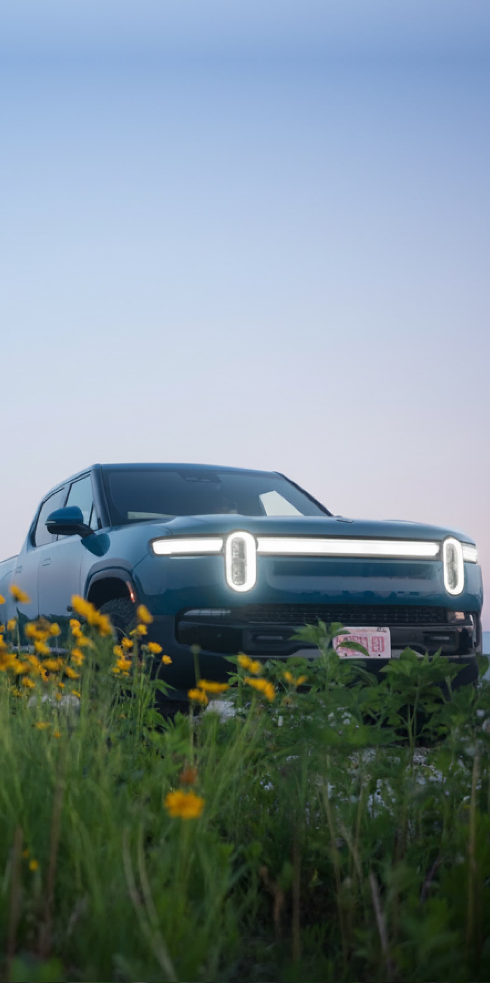 A blue Rivian R1T electric truck parked in a grassy meadow of yellow california poppy flowers. The background is a purple hued dusk sky.