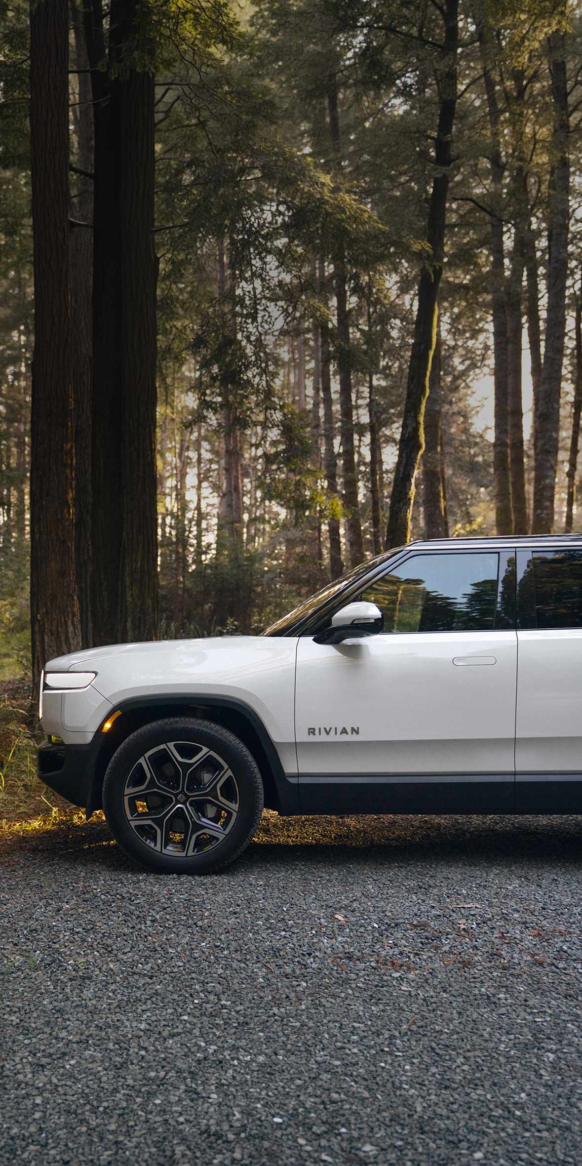 A profile shot of the front half of a white Rivian R1S electric SUV parked on a gravel path
