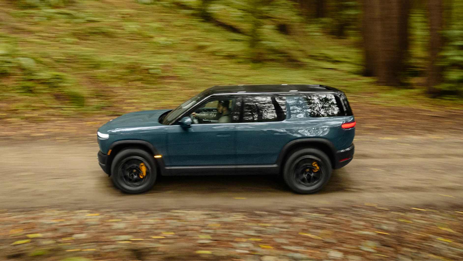 Suspension that adapts and reacts