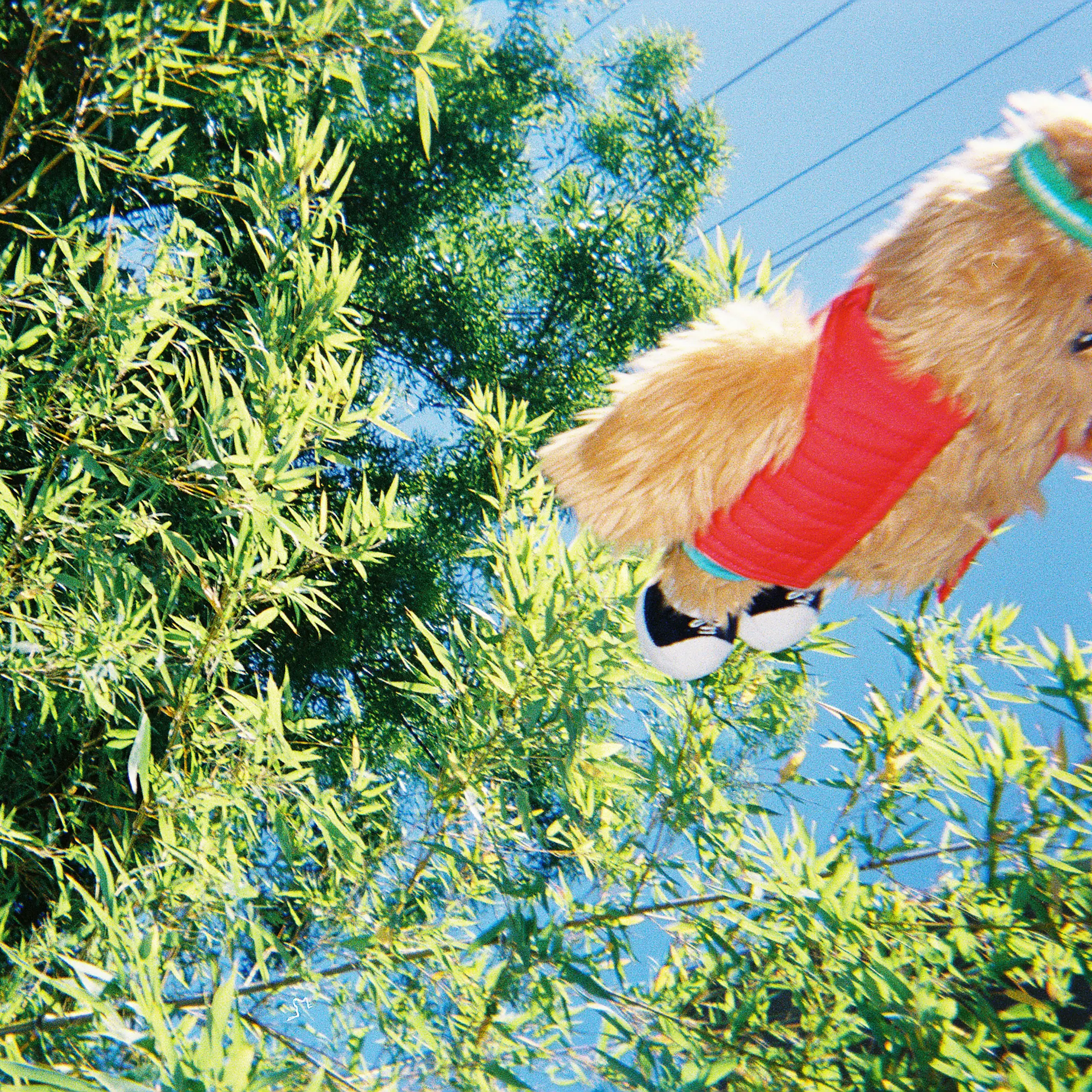 A plush version of the Rivian mascot Gear Guard floating in the air after. Gear Guard is a friendly looking hairy monster wearing an orange puffer vest, a retro sweatband, and high top tennis shoes.