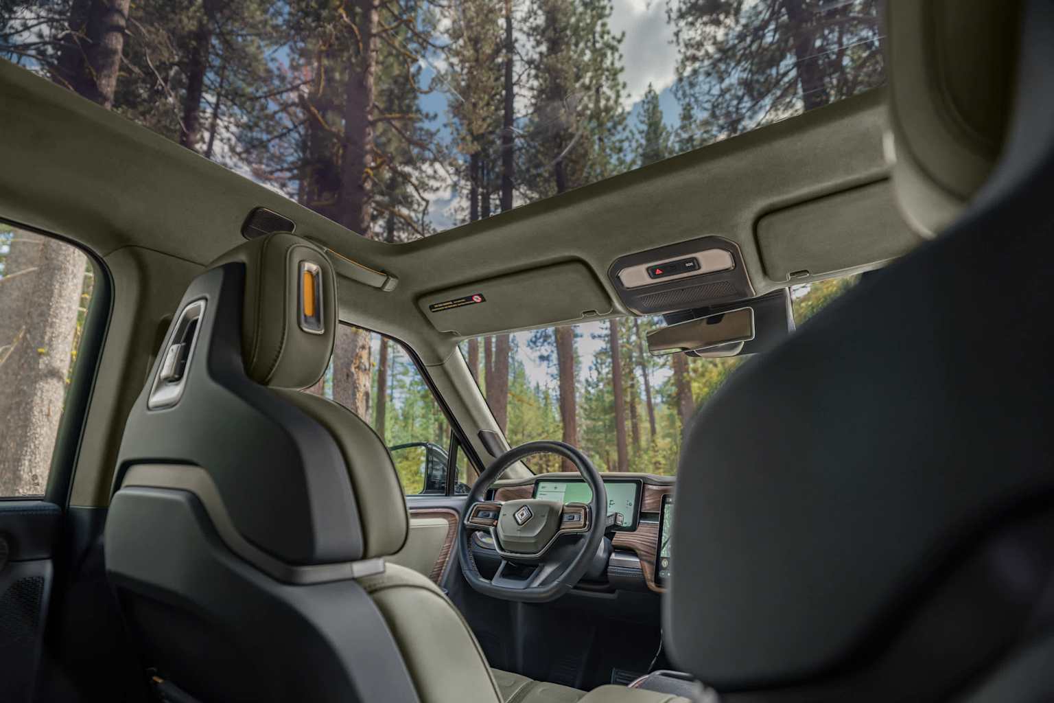 Bring the Forest With You