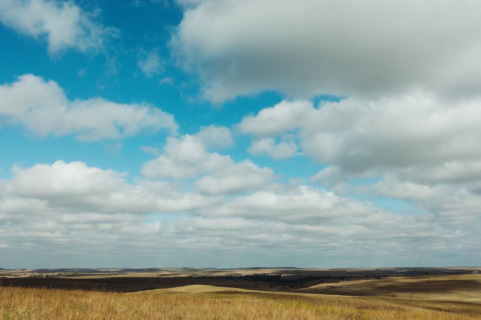 The Rivian Foundation