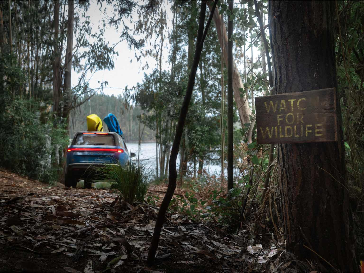 Real Rivian Adventures: Bayou Country