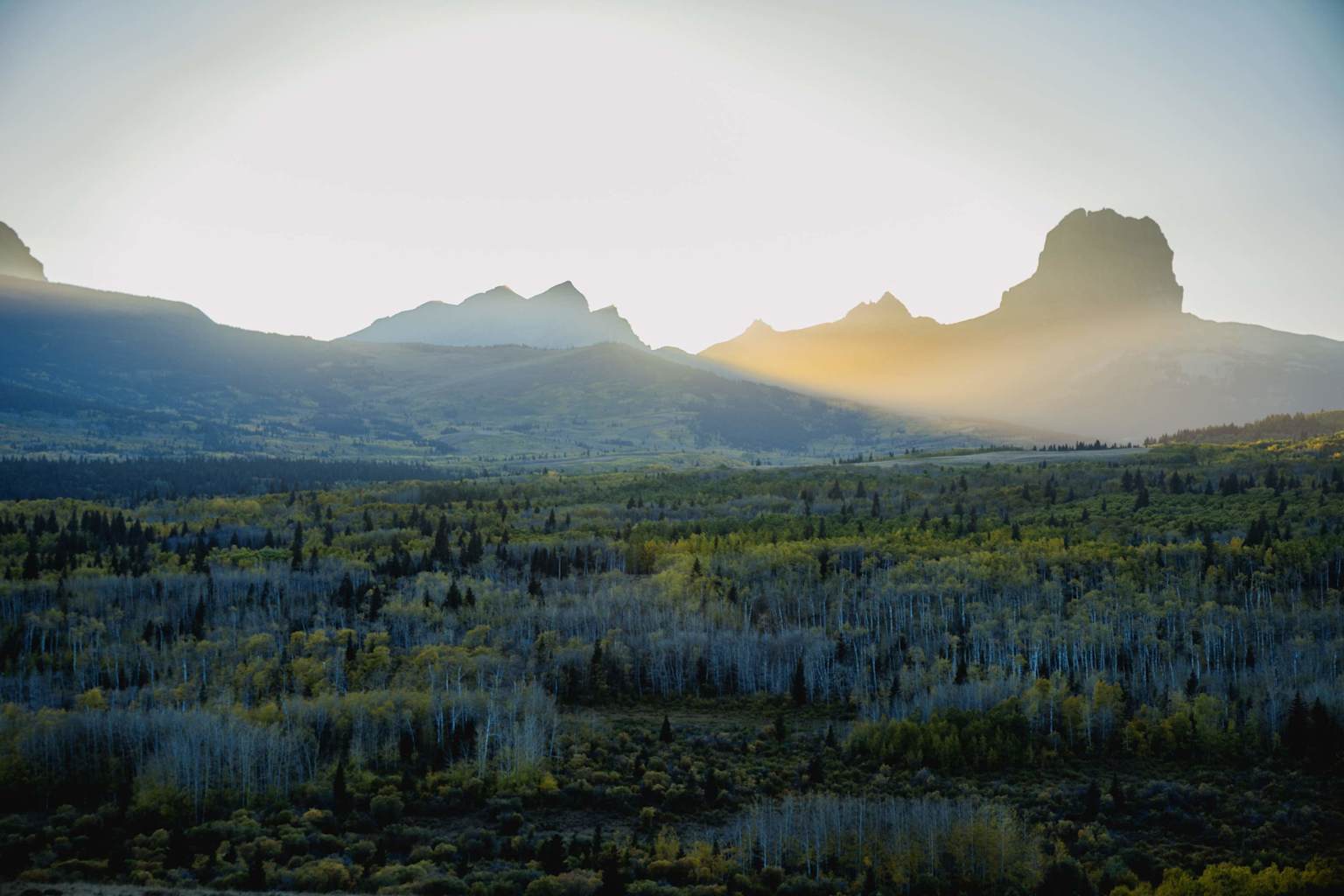Rivian Foundation
