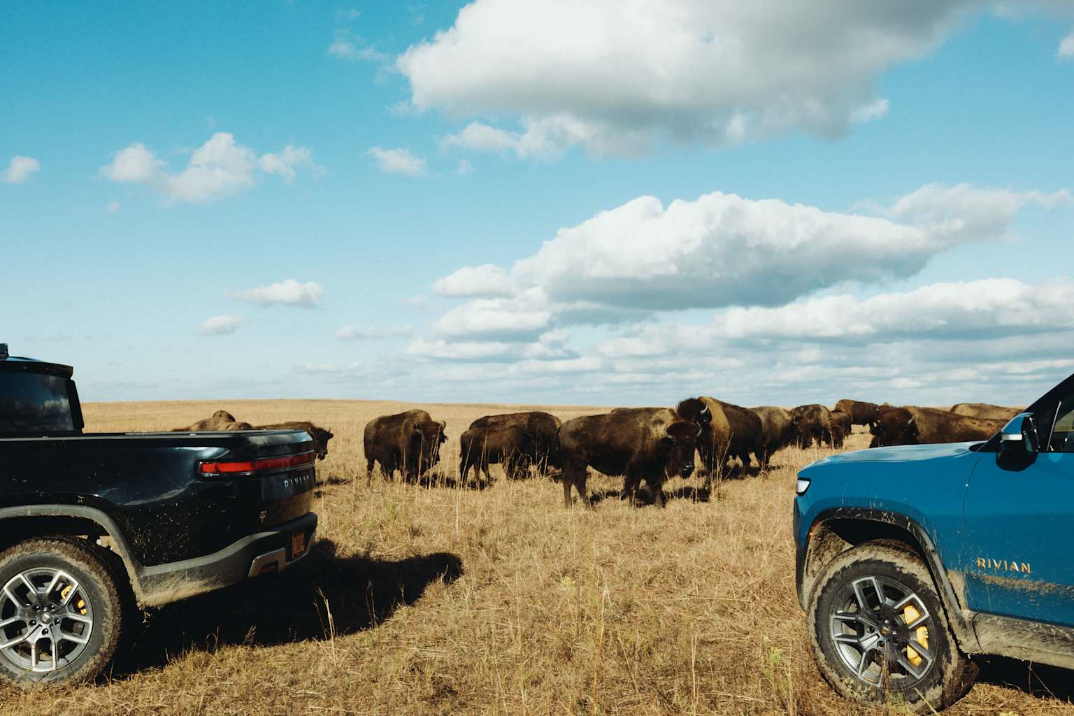 At Home on the Range
