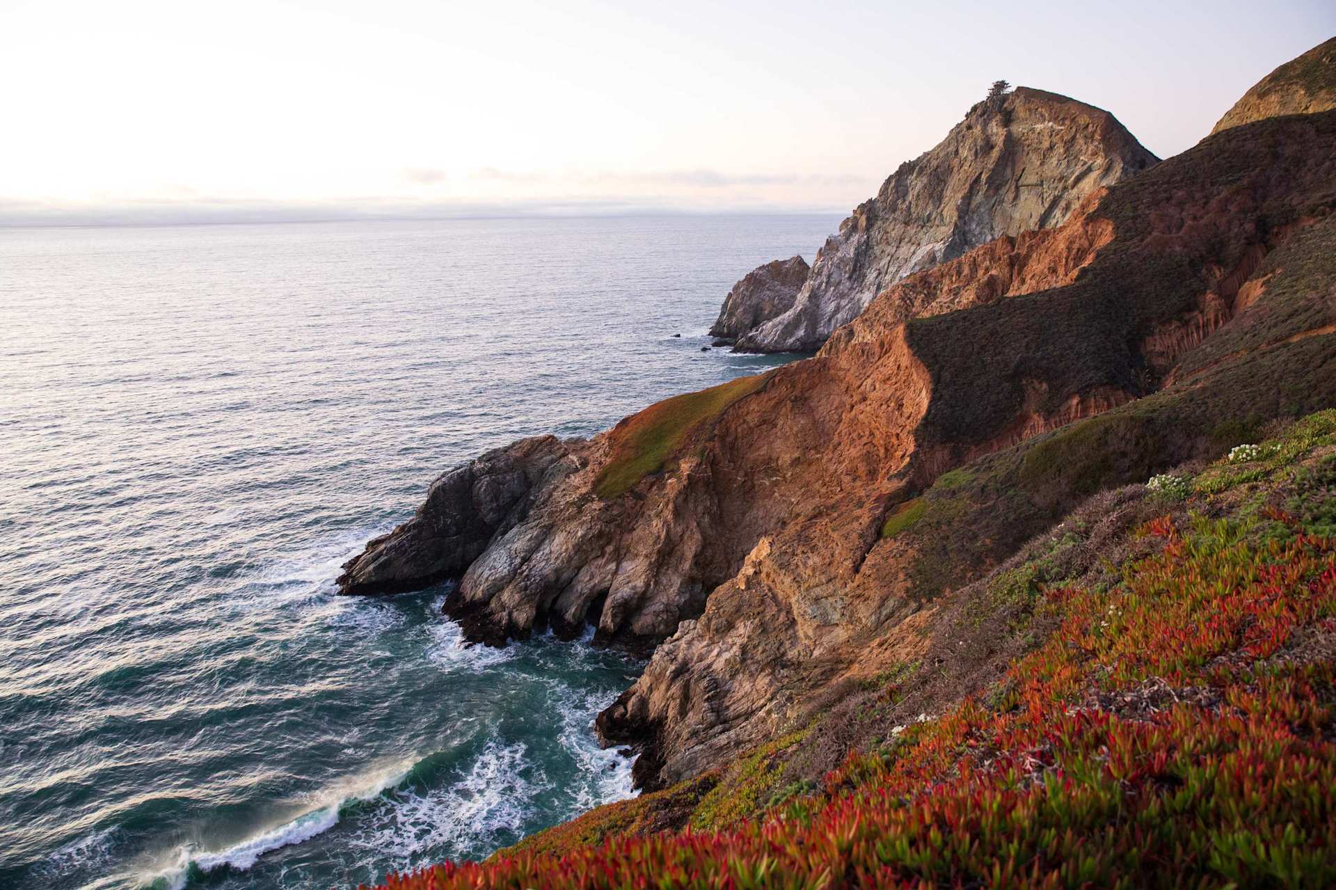Coastal view of Half Moon Bay. Waves crash against rocky cliffs, red and green ice plants cover the foreground slope, and a tree sits atop the highest