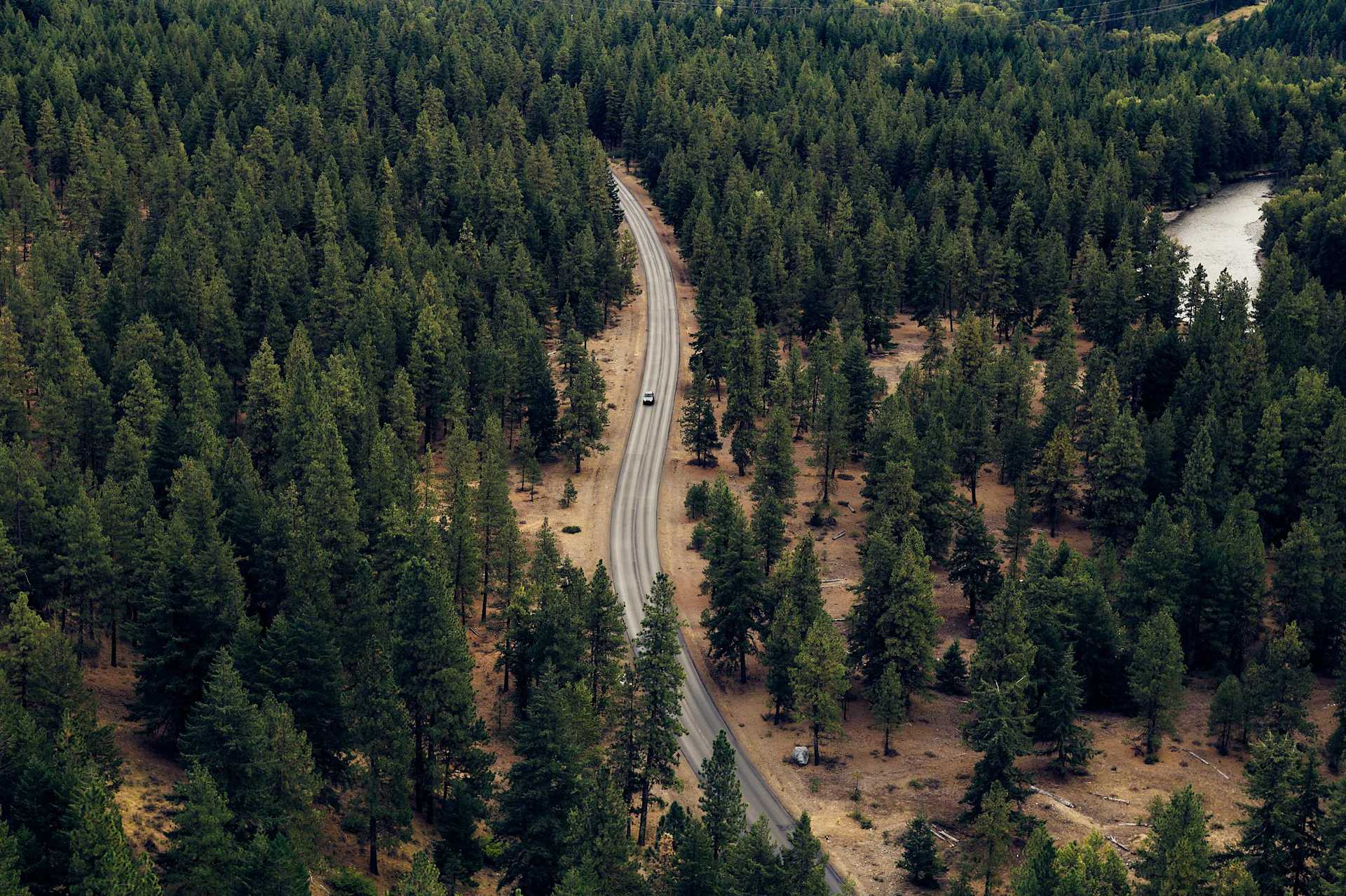 Aerial view shows a road winding through a dense, dark green forest. A single car drives on the road. A river is visible on the right side.
