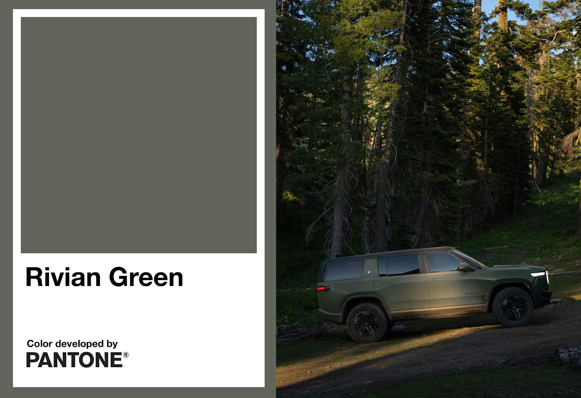 Rivian Green SUV on a dirt path in a forest of tall pine trees. To the left, a Pantone color swatch displays the "Rivian Green" color.