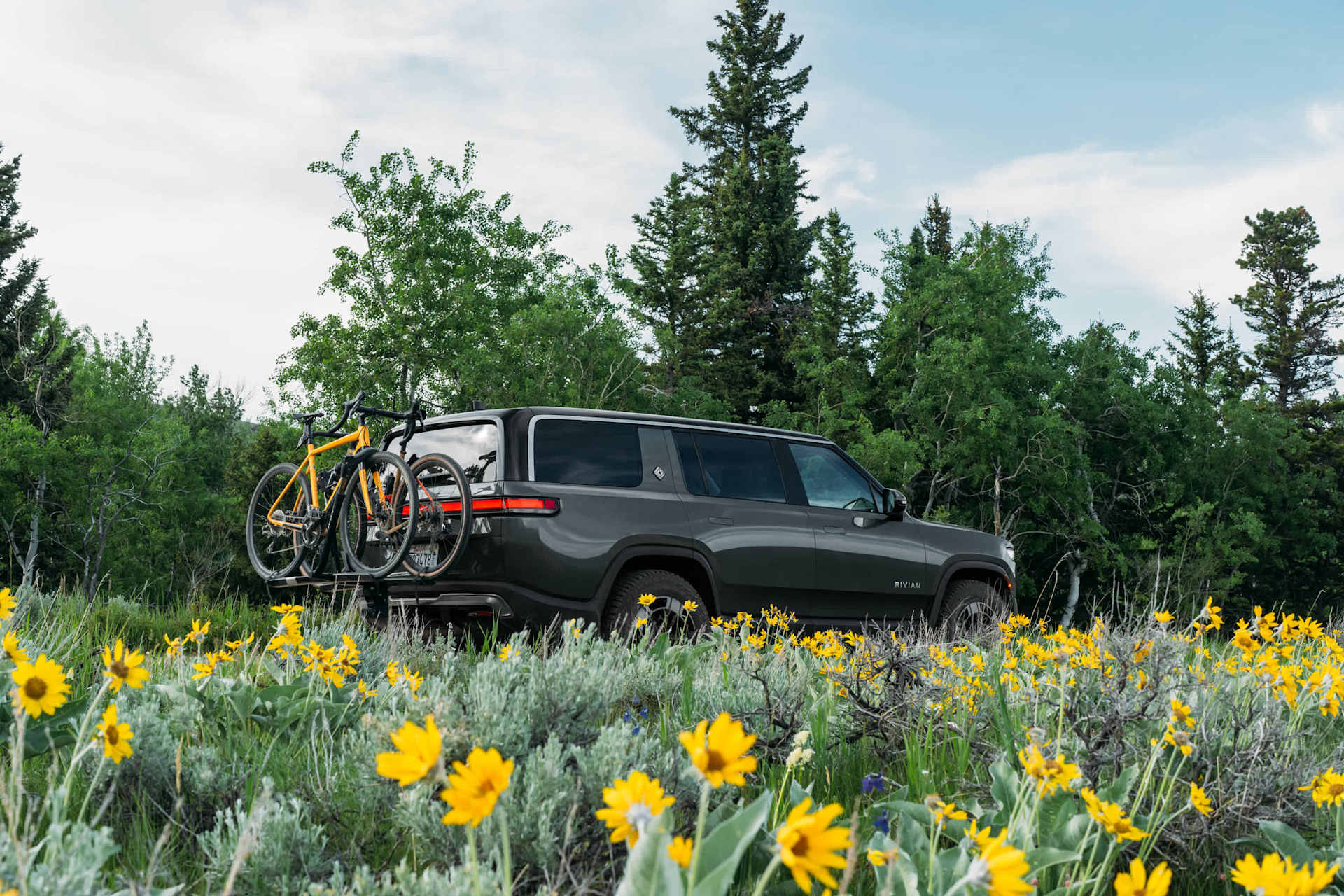 Rivian SUV parks in a meadow of yellow wildflowers. Two bicycles are mounted on the back. Tall green trees fill the background under a blue sky.